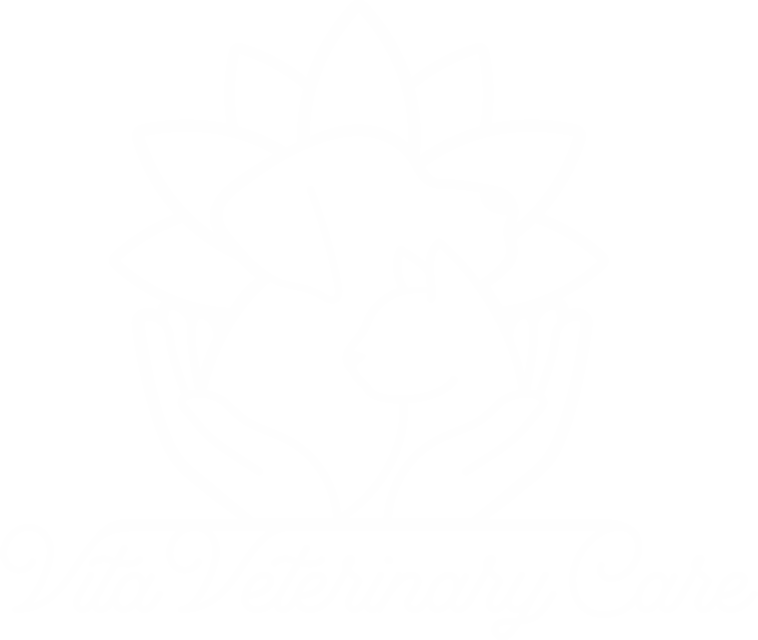 Vita Veterinary Care